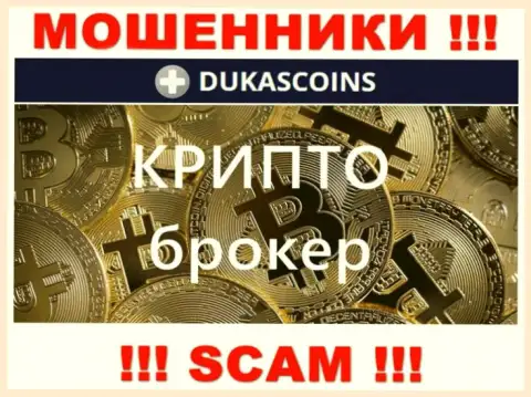 Вид деятельности аферистов ДукасКоин Ком - Crypto trading, но имейте ввиду это развод !!!