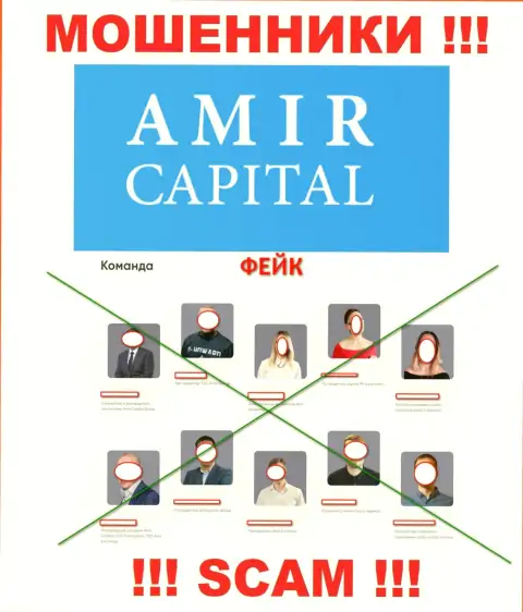 Жулье Amir Capital безнаказанно отжимают вложения, поскольку на web-сервисе показали липовое начальство