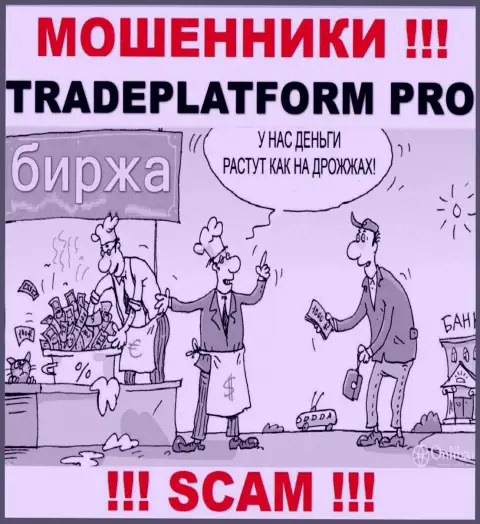 Доход с организацией TradePlatform Pro Вы не получите - не спешите вводить дополнительные деньги