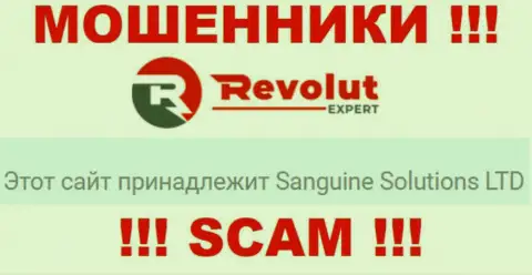 Информация о юр лице internet мошенников Sanguine Solutions LTD
