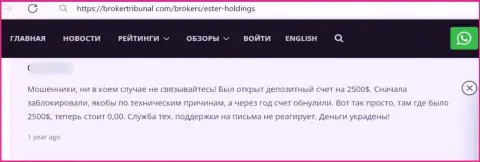 Не загремите в сети internet мошенников из Ester Holdings - кинут в мгновение ока (отзыв)