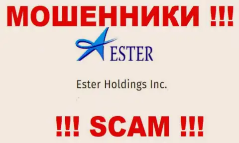 Информация об юридическом лице интернет лохотронщиков Ester Holdings Inc