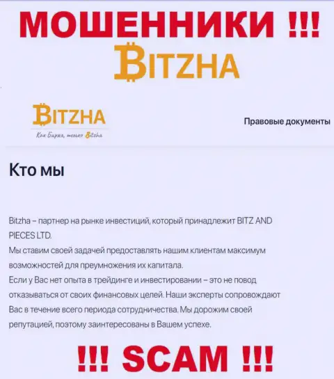 Bitzha24 - это настоящие обманщики, вид деятельности которых - Инвестирование