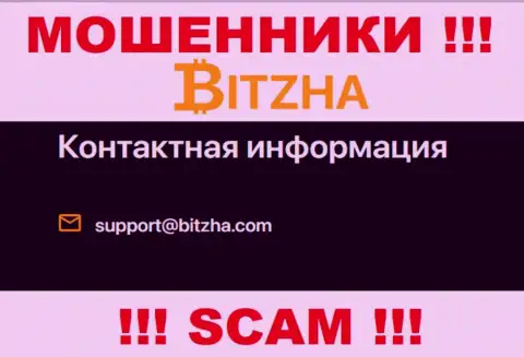 Е-майл лохотрона Bitzha24 Com, информация с официального информационного сервиса