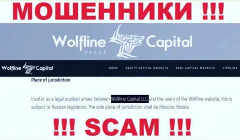 Юридическое лицо конторы Wolfline Capital - это ООО Волфлайн Кэпитал