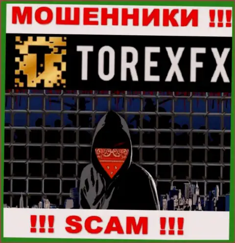TorexFX скрывают инфу о руководителях компании