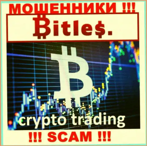 Весьма опасно верить Bitles Limited, оказывающим услугу в сфере Криптоторговля