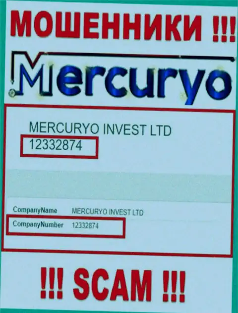 Номер регистрации незаконно действующей компании Меркурио Инвест Лтд - 12332874