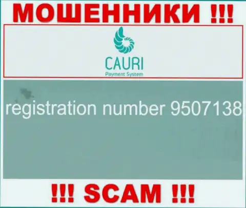 Номер регистрации, который принадлежит противоправно действующей организации Каури Ком - 9507138