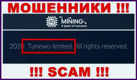 Обманщики АйКьюМайнинг пишут, что Tunewo Limited управляет их лохотронным проектом