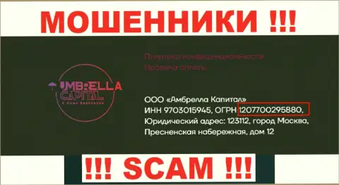 ООО Амбрелла Капитал интернет-мошенников Umbrella-Capital Ru зарегистрировано под вот этим номером - 207700295880