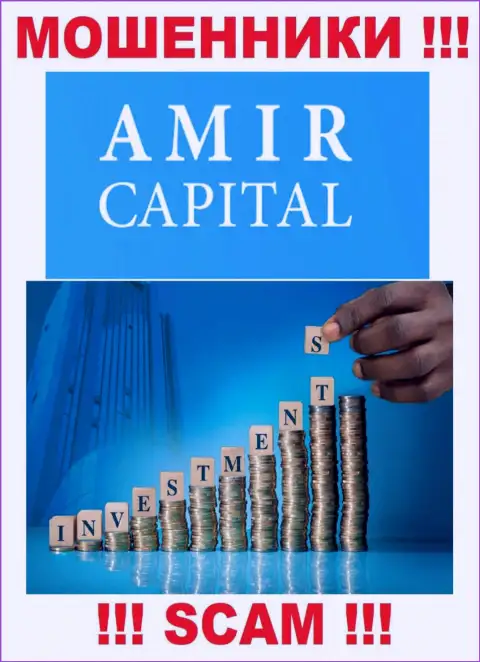 Не отдавайте деньги в Amir Capital, сфера деятельности которых - Инвестирование