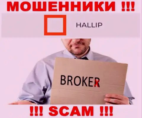 Направление деятельности internet-мошенников Hallip - это Broker, но имейте ввиду это обман !