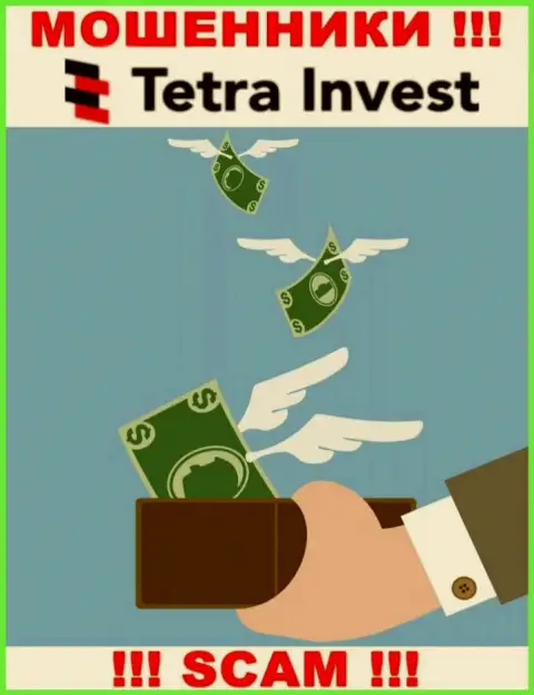 Если ожидаете доход от совместной работы с дилинговой компанией Tetra Invest, то зря, указанные интернет-мошенники облапошат и Вас