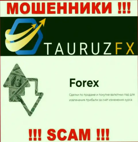 FOREX - это то, чем занимаются мошенники TauruzFX