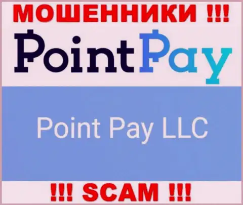 Юридическое лицо internet-воров Поинт Пэй - это Point Pay LLC, сведения с web-ресурса мошенников