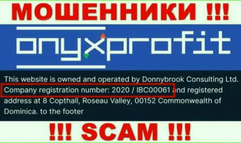 Регистрационный номер, который принадлежит конторе ОниксПрофит - 2020 / IBC00061