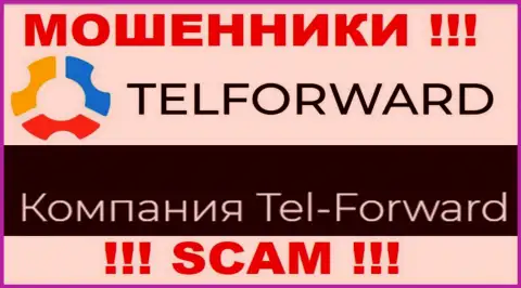 Юр. лицо Tel Forward - это Тел-Форвард, именно такую информацию представили мошенники у себя на интернет-портале