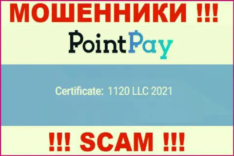 Регистрационный номер Поинт Пэй ЛЛК, который показан мошенниками у них на web-портале: 1120 LLC 2021