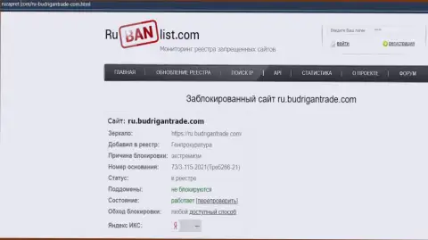 Сайт BudriganTrade на территории Российской Федерации был заблокирован Генеральной прокуратурой
