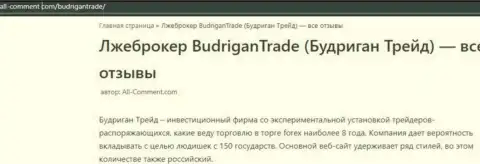 Автор обзора афер заявляет, что сотрудничая с Budrigan Ltd, Вы можете потерять средства