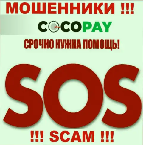 Можно еще попробовать забрать назад вклады из организации Coco-Pay Com, обращайтесь, сможете узнать, как быть