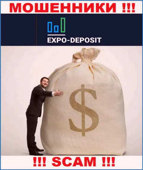 Невозможно вернуть назад вложенные деньги с компании Expo-Depo, так что ни рубля дополнительно вводить не нужно