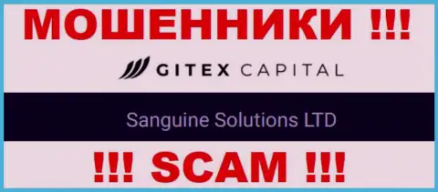 Юридическое лицо Сангин Солютионс ЛТД - это Sanguine Solutions LTD, именно такую информацию предоставили мошенники на своем сайте