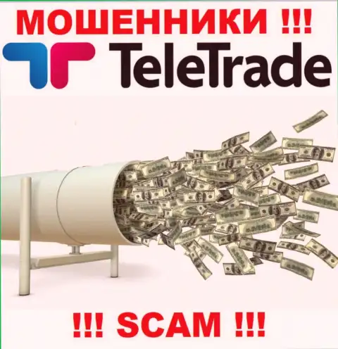 Помните, что совместная работа с дилинговым центром TeleTrade очень рискованная, разведут и глазом не успеете моргнуть