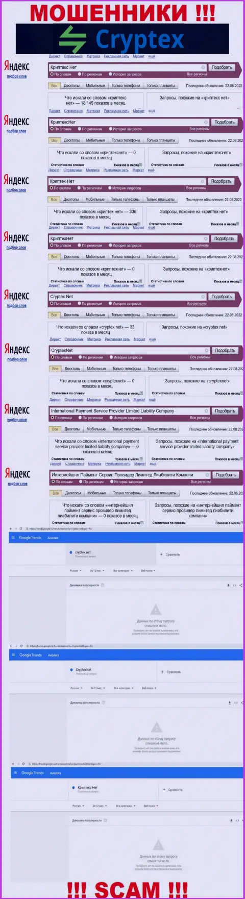 Скриншот результатов онлайн запросов по противозаконно действующей организации International Payment Service Provider Limited Liability Company