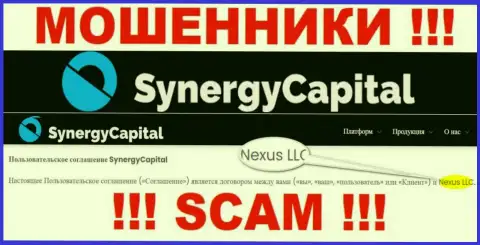 Юридическое лицо, владеющее интернет-шулерами SynergyCapital Top - это Nexus LLC