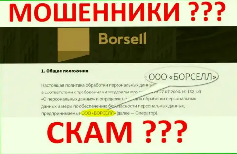 ООО БОРСЕЛЛ - это организация, владеющая интернет-мошенниками Borsell