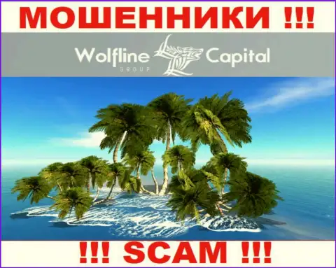 Ворюги Wolfline Capital не показывают достоверную инфу относительно их юрисдикции