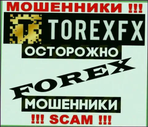 Род деятельности Torex FX: Forex - хороший заработок для интернет-воров