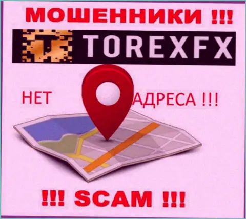 Torex FX не представили свое местонахождение, на их сайте нет данных о официальном адресе регистрации